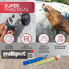 Milliput Metallic Two Part Epoxy Putty