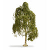Noch N20120 Silver Birch Tree 18cm
