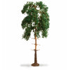 Noch N20141 Pine Tree 18cm