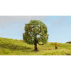Noch N20145 Apple Tree 8cm