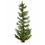 Noch N20191 Spruce Tree 22cm