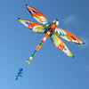 Ocean Breeze Dragonfly Single String Kite