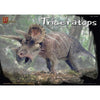 Pegasus 1/24 Triceratops 3 Horned Face Dinosaur Model Kit