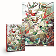 Penny Puzzle 404 Hummingbirds 1000pc Jigsaw Puzzle