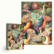 Penny Puzzle 405 Sea Anemones 1000pc Jigsaw Puzzle