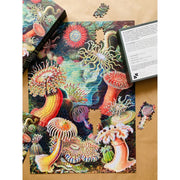 Penny Puzzle 405 Sea Anemones 1000pc Jigsaw Puzzle