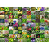Ravensburger 00073-0 99 Herbs and Spices 1000pc Jigsaw Puzzle