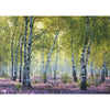 Ravensburger 00117-1 Birch Forest 1000pc Jigsaw Puzzle