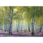 Ravensburger 00117-1 Birch Forest 1000pc Jigsaw Puzzle