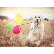 Ravensburger 00221-5 Balloon Party 500pc Jigsaw Puzzle