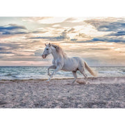 Ravensburger 00222-2 Evening Gallop 500pc Jigsaw Puzzle
