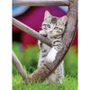 Ravensburger Kittens in the Countryside 2x500pc Jigsaw Puzzle