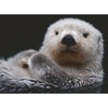 Ravensburger 00235-2 Adorable Little Otter 500pc Jigsaw Puzzle