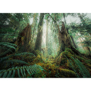 Ravensburger 00292-5 In The Forest 1000pc Jigsaw Puzzle