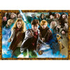 Ravensburger 00343-4 The World Of Harry Potter 2x500pc Jigsaw Puzzle