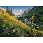 Ravensburger 00484-4 Magical Valley 1000pc Jigsaw Puzzle