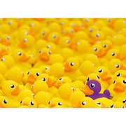 Ravensburger 00587-2 Rubber Ducks 1000pc Jigsaw Puzzle
