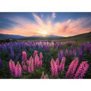 Ravensburger 00688-6 Lupines 500pc Jigsaw Puzzle