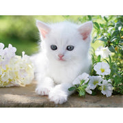 Ravensburger White Kitten 1500pc Jigsaw Puzzle