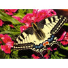 Ravensburger 01335-8 Butterfly Puzzle 500pc Jigsaw Puzzle