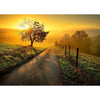 Ravensburger Landschaft in Morgensonne 1000pc Jigsaw Puzzle