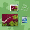 Ravensburger 01707-3 A Sea Of Red 500pc Jigsaw Puzzle