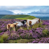 Ravensburger 01751-6 Wild Horses In The Heather 2000pc Jigsaw Puzzle