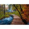 Ravensburger 01764-6 Autumnal Forest Path 1000pc Jigsaw Puzzle