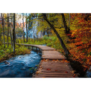 Ravensburger 01764-6 Autumnal Forest Path 1000pc Jigsaw Puzzle