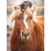 Ravensburger 01901-5 The Little Rider 500pc Jigsaw Puzzle 4005555019015
