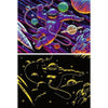 Ravensburger 04266-2 Outer Space Adventure 200pc Jigsaw Puzzle