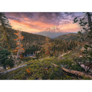 Ravensburger 80715-4 Four Seasons WT Puzzle 4x500pc Jigsaw Puzzle