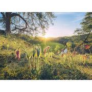 Ravensburger 80715-4 Four Seasons WT Puzzle 4x500pc Jigsaw Puzzle