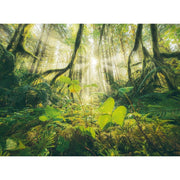 Ravensburger 80715-4 Four Seasons WT Puzzle 4x500pc Jigsaw Puzzle