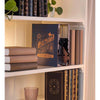 Revell 1/24 Gringotts Bank Book Nook Harry Potter