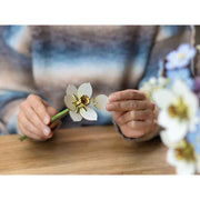 Revell 00630 Blossom Festival