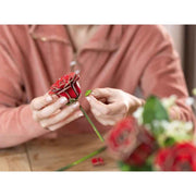 Revell 00631 Dream Of Roses