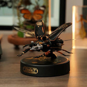 Robotime Rokr DIY Stag Storm Beetle