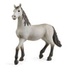 Schleich 13924 Pura Raza Espanola Young Horse