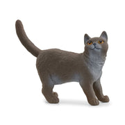 Schleich 13973 British Shorthair Cat