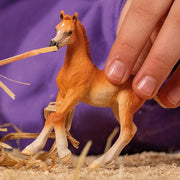 Schleich 13984 Arab Foal