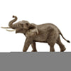 Schleich 14762 African Elephant Male
