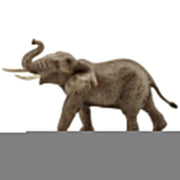 Schleich 14762 African Elephant Male
