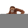 Schleich 14775 Orangutan Female