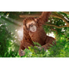 Schleich 14775 Orangutan Female