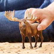 Schleich 14781 Moose Bull