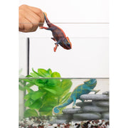 Schleich 14858 Chameleon