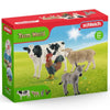 Schleich 42385 Farm World Starter Set