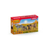 Schleich 42387 Wild Life Starter Set