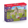 Schleich 42430 Horse Club Hannah First-Aid Kit